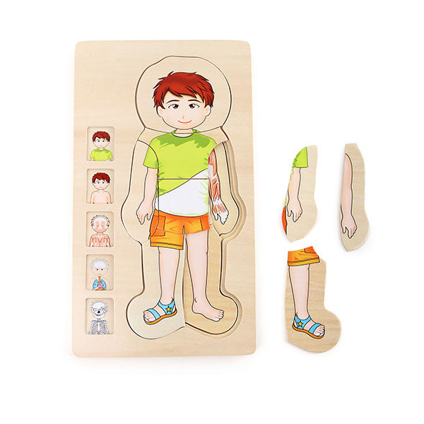Večplastna sestavljanka anatomija fantek Small foot